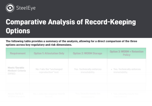 SteelEye -Comparative Analysis of Record-Keeping Options