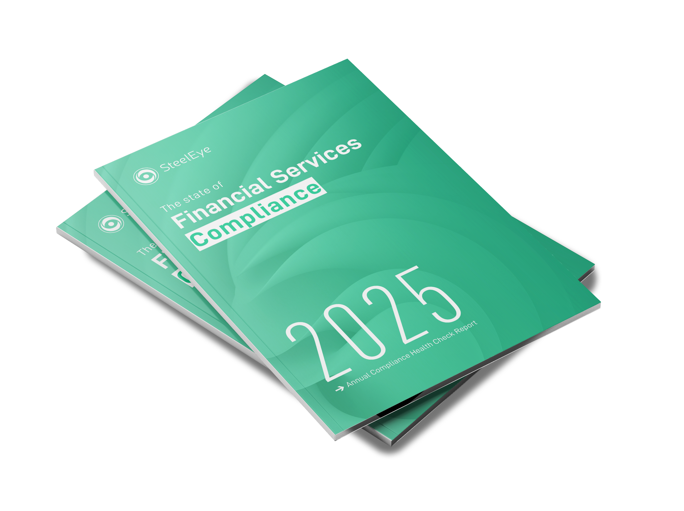 SteelEye 2025 report mockup2