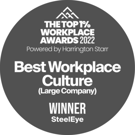 SteelEye Best workplace culture