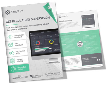 SteelEye Data Platform FactSheet-1