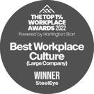 SteelEye Best workplace culture