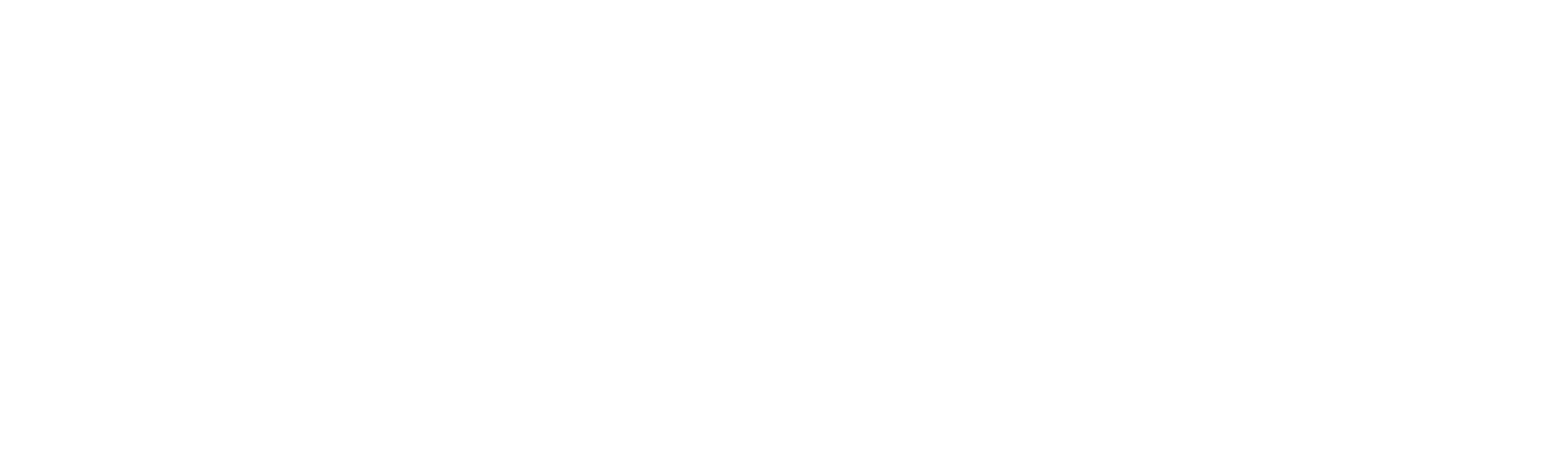 SteelEye Logo