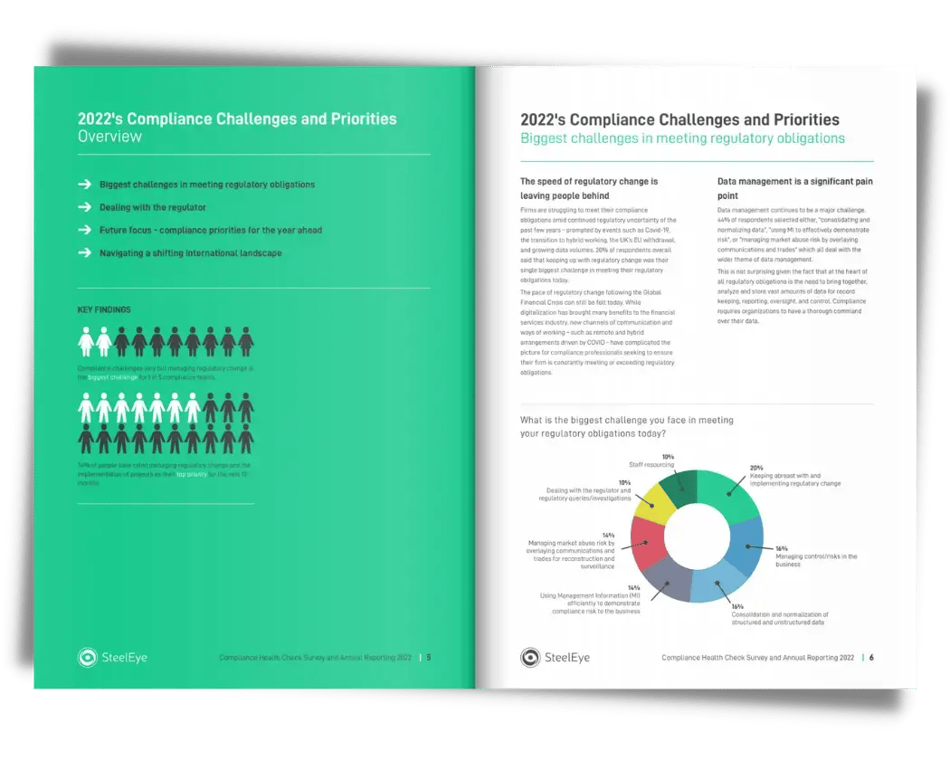 SteelEye-Annual-Compliance-Health-Check-Report-surveying