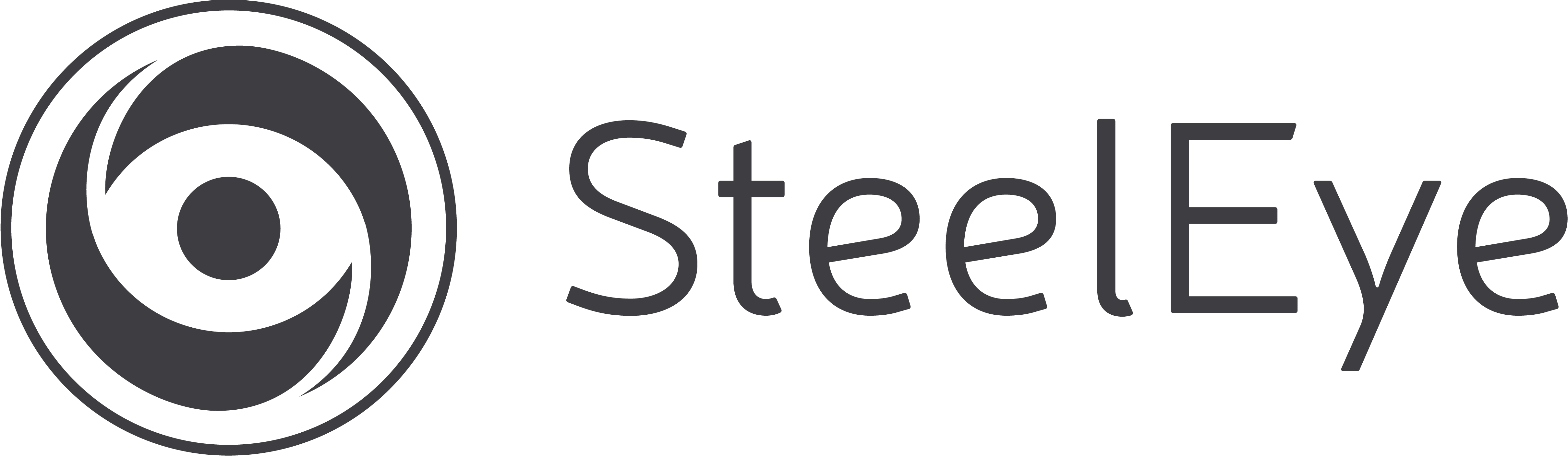 SteelEye_Logo