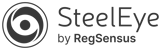 SteelEye_p2_Col-logo