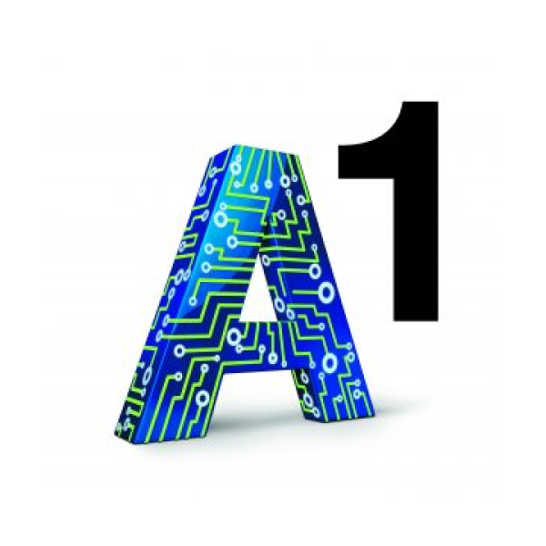 A1