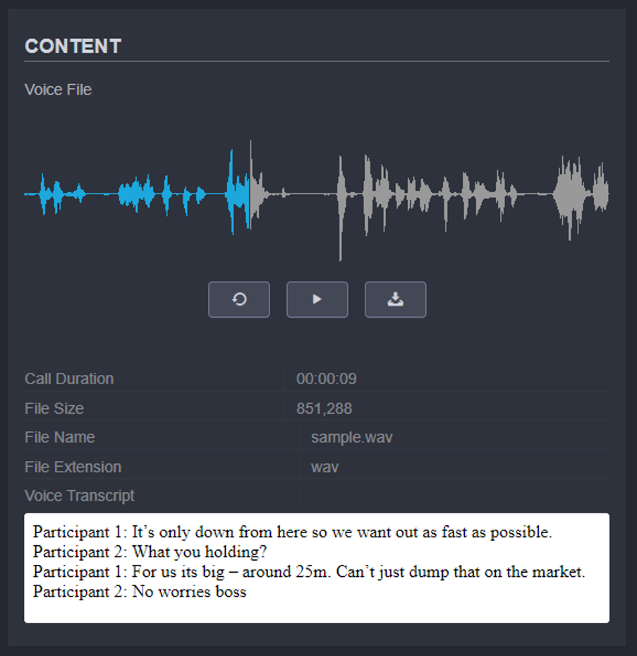 SteelEye Voice Transcription (1)